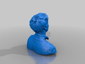 robbyrudat people eisf making scan sense scanner 3d print model - Mito3D