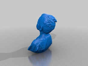lachlan pessoas eisf de decisão scan sentido do scanner 3d print model - Mito3D