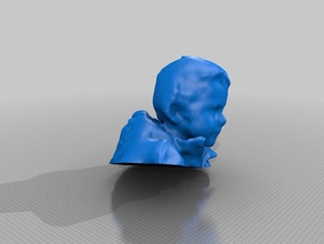 donnelly personas eisf de decisiones scan sentido del escáner 3d print model - Mito3D