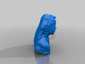 anya Weise Menschen eisf machen scan Sinn scanner 3d print model - Mito3D