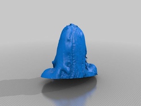 maria Menschen eisf machen scan Sinn scanner 3d print model - Mito3D