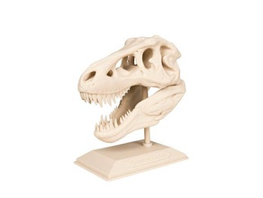 t-rex skull learning academy archaeology curriculum dinosaur education k-12 paleontology trex tyrannosaurus rex 3d print model - Mito3D