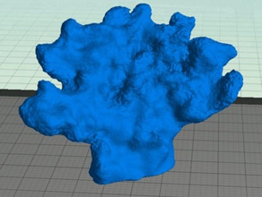 de coral otros 3d print model - Mito3D