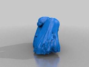 bongo maga Menschen eisf machen scan Sinn scanner 3d print model - Mito3D