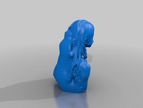 anyatomato persone eisf fare la scansione senso dello scanner 3d print model - Mito3D