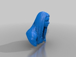 emily pessoas eisf de decisão scan sentido do scanner 3d print model - Mito3D