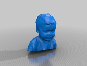 viking pessoas eisf de decisão scan sentido do scanner 3d print model - Mito3D