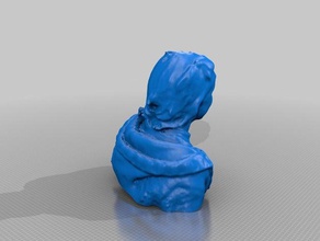 berry people eisf making scan sense scanner 3d print model - Mito3D