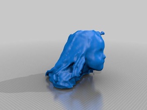 mem people eisf making scan sense scanner 3d print model - Mito3D