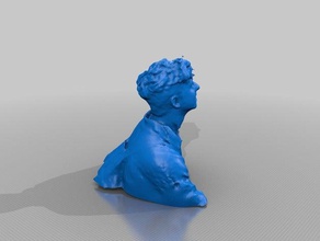nathan eis Menschen eisf machen scan Sinn scanner 3d print model - Mito3D