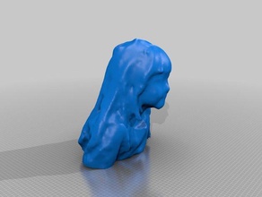 lev-hu Menschen eisf machen scan Sinn scanner 3d print model - Mito3D