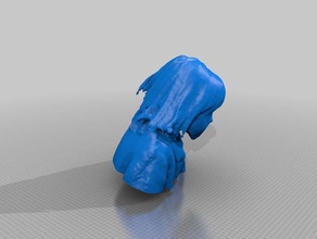 faye Menschen eisf machen scan Sinn scanner 3d print model - Mito3D