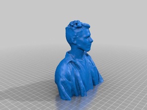 temizlenir alex tarar kopyaları 3d portre 3d print model - Mito3D