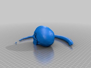 cranio art makerbotdigitizer scansione 3d print model - Mito3D