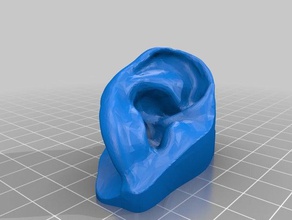bodyparts3d ears biology anatomy medical 3d print model - Mito3D