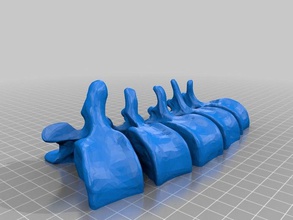bodyparts3d lumbar vertebrae biology anatomy medical spine 3d print model - Mito3D