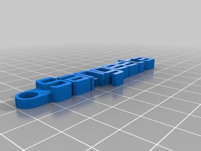 sangeeta chaveiro organização personalizado 3d print model - Mito3D