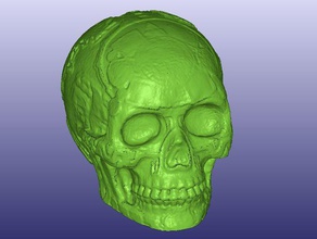 mayan skull 3d scan hollow scans replicas digitizer makerbotdigitizer 3d print model - Mito3D