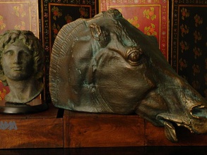 head horse selene sculptures 3d print model - Mito3D