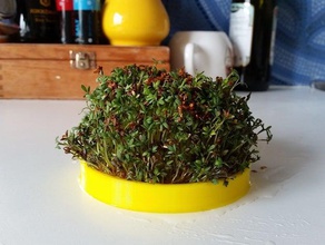 giardino di crescione stand cucina pranzo alberi natale il germoglio germogli 3d print model - Mito3D