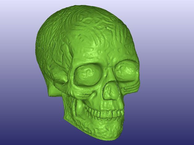 keltischer Schädel 3d-scan hohl durchsucht Replikate digitizer Licht makerbotdigitizer 3D print model - Mito3D