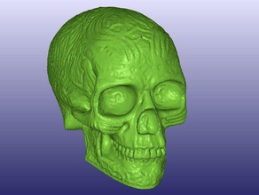 celtic skull 3d scan hollow scans replicas digitizer light makerbotdigitizer 3d print model - Mito3D