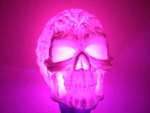 spook skull 3d scan hollow scans replicas digitizer makerbotdigitizer 3d print model - Mito3D