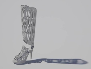 cage boot accessories shoe 3d print model - Mito3D