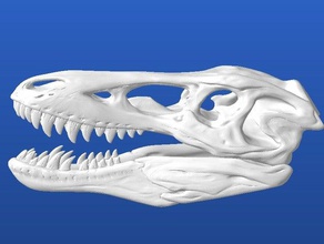 pinocchio rex qianzhousaurus sinensis altri prex trexremix 3d print model - Mito3D