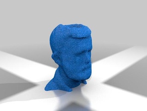 scanned head 3d printing tests 3d print model - Mito3D