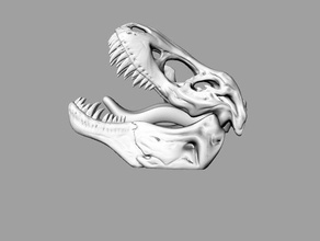 tickle-me-t-rex biology trexremix 3d print model - Mito3D