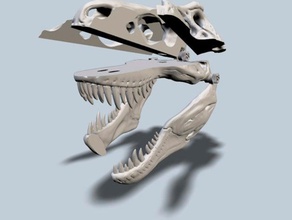 exploded t-rex skull biology beauchene dinas dino dinosaur monster prehistoric trex trexremix 3d print model - Mito3D
