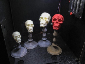 trofeos sitio 3 fiesta de halloween concurso disfraces otros site3 el cráneo trofeo 3d print model - Mito3D