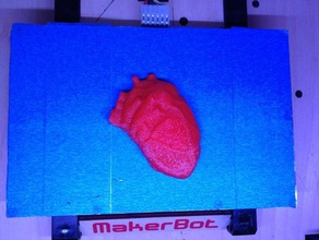 anatomique du cœur les analyses des répliques modèles anatomiques l'anatomie médicaux 3d print model - Mito3D