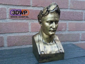 napoleón busto de escaneo 3d exploraciones las réplicas art lincoln museo oliver laric escultura estatua 3d print model - Mito3D