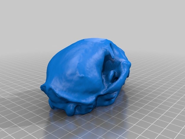 bobcat skull art makerbotdigitizer scan 3D print model - Mito3D