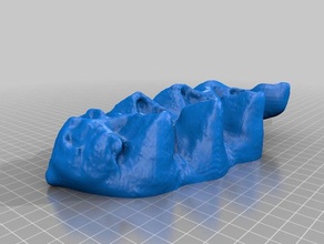 mastodon dent art makerbotdigitizer scan 3d print model - Mito3D