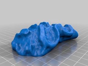 coral-cérebro varreduras réplicas makerbotdigitizer 3d print model - Mito3D