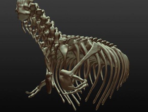 squelette de t-rex sculptures l'archéologie dino dinosaure la paléontologie le crâne trex trexremix tyrannosaure tyrannosaurus rex 3d print model - Mito3D