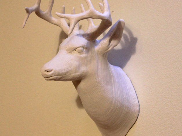 deer head detailed animals 3D print model - Mito3D