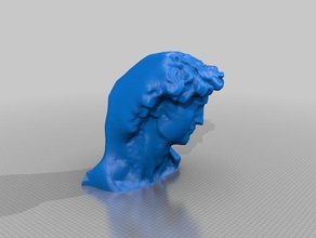 scan david head scans replicas davii statue 3d print model - Mito3D
