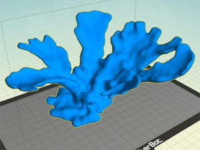 fan mercan diğer akvaryum balık tankı 3d print model - Mito3D