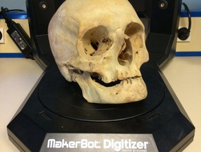 3d scanned real skull biology anatomy bone human isifc makerbotdigitizer 3d print model - Mito3D
