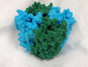 aquaporin biology diffusion dual dualstrusion membrane protein databank structure 3d print model - Mito3D