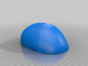 skull cap scans replicas makerbotdigitizer 3d print model - Mito3D