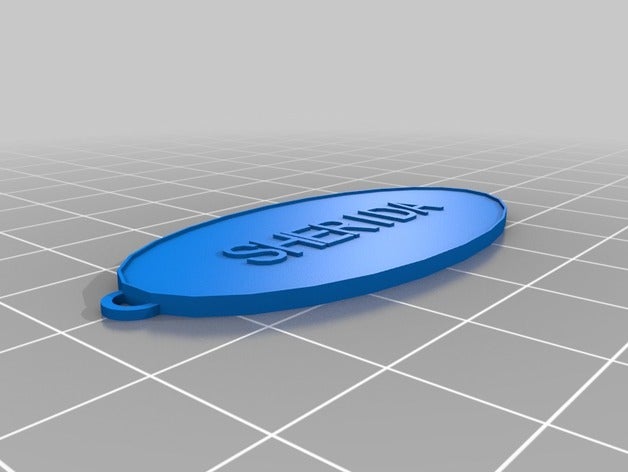 my customized oval keychain keychains 3D print model - Mito3D