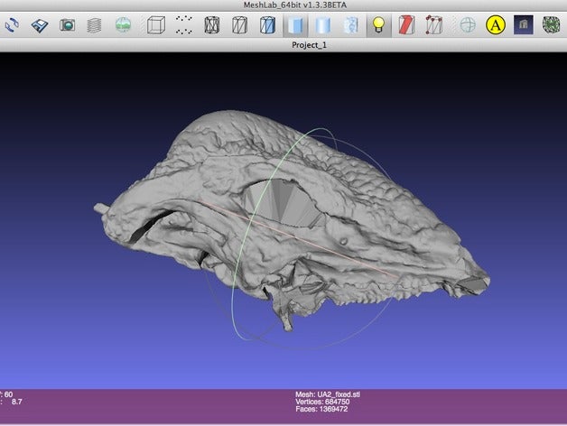 stegoceras validum crâne de la biologie dinosaure les fossiles géologie géosciences paléontologie squelette 3D print model - Mito3D