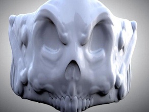 crâne anneau anneaux 3d print model - Mito3D