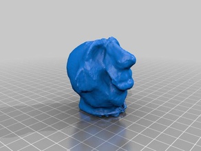no name face people makerbotdigitizer scan 3d print model - Mito3D