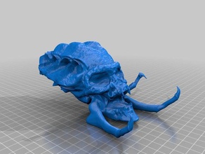 predator like skull repaired animals 3d print model - Mito3D